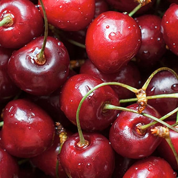 Chemical Guys AIR22816 Air Freshener & Odor Eliminator, Fresh Cherry Blast Premium, 16 fl. oz