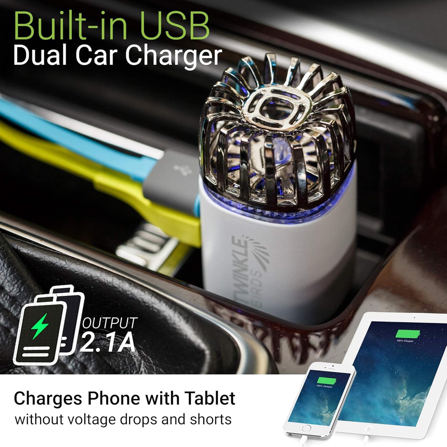 Car Air Purifier Ionizer - 12V Plug-in Ionic Anti-Microbial Car Deodorizer with Dual USB Charger - Smoke Smell, Pet and Food Odors, Allergens, Viruses Eliminator for Car (Matte White)