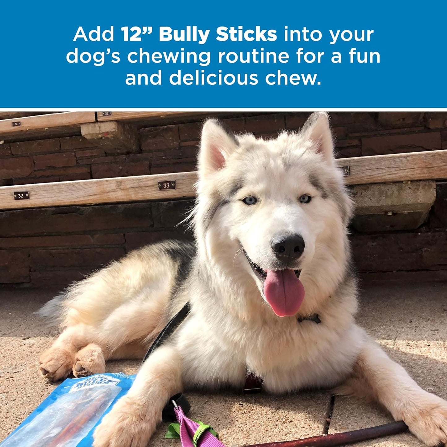 Best Bully Sticks 12 Inch Bully Sticks for Dogs - 25 Count (Pack of 1) - Natural, Easily Digestible, 100% Grass-Fed, Grain and Rawhide Free