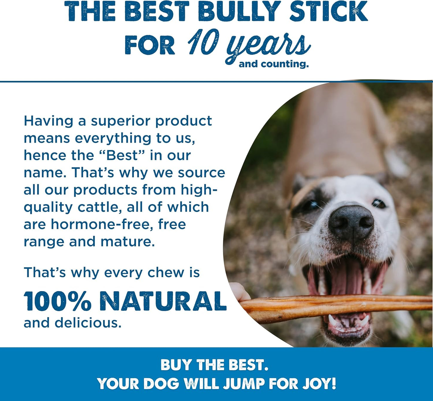 Best Bully Sticks 12 Inch Bully Sticks for Dogs - 10 Count (Pack of 1) - Natural, Easily Digestible, 100% Grass-Fed Beef, Grain and Rawhide Free