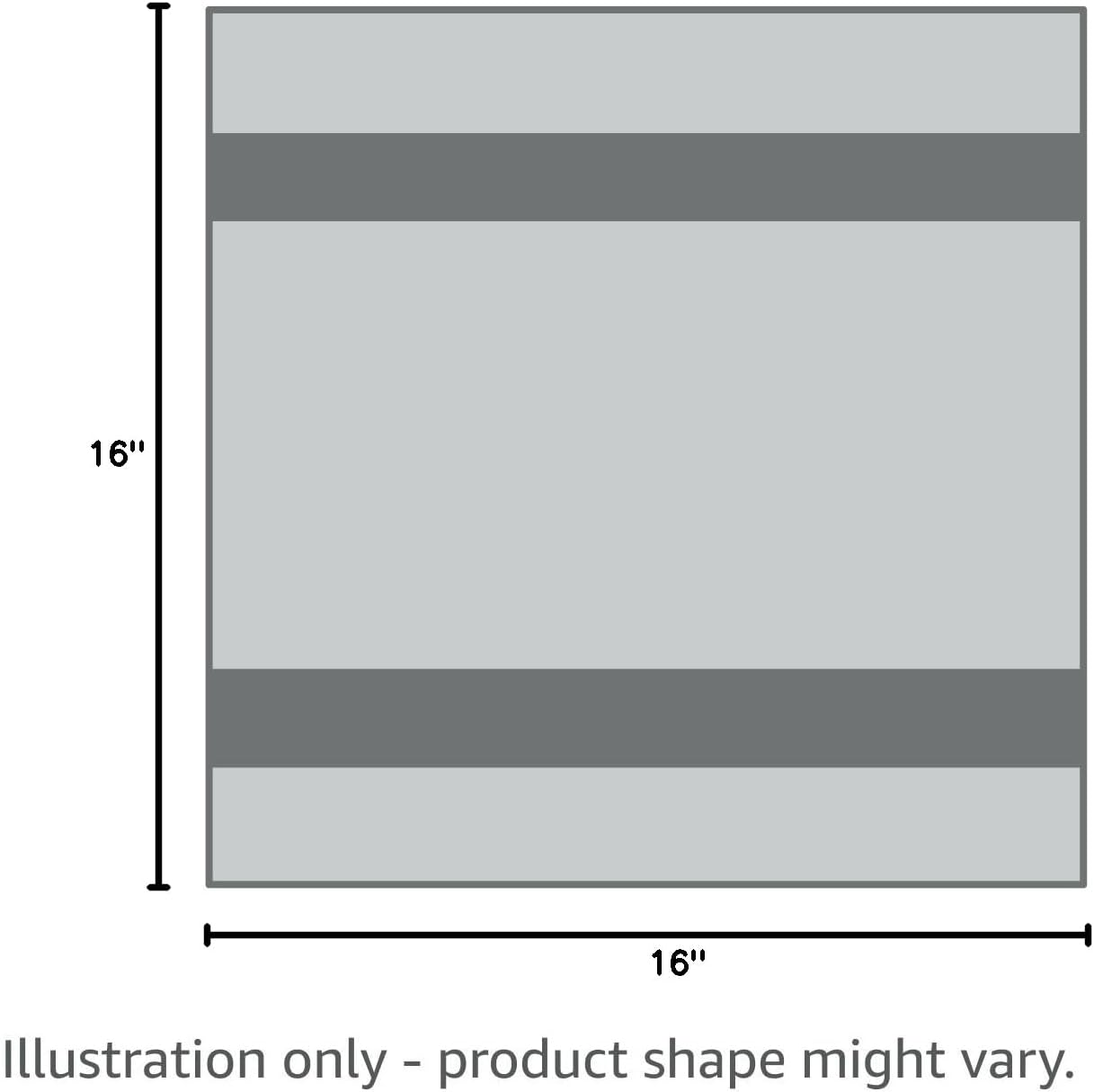 Autofiber Korean Plush Premium Edgeless Microfiber Detailing Towels - Pack of 10, Blue (16 inch x 16 inch)