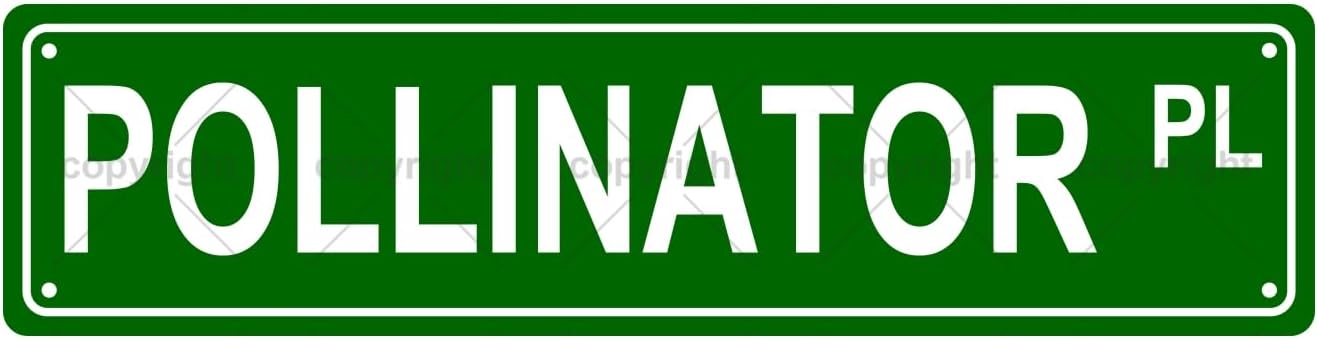 POLLINATOR PL Space Metal Tin Street Sign Bar Cafe Garage Cave Home Room Wall Bathroom Farmhouse Garden Porch Patio Decor, 16 x 4 Inch