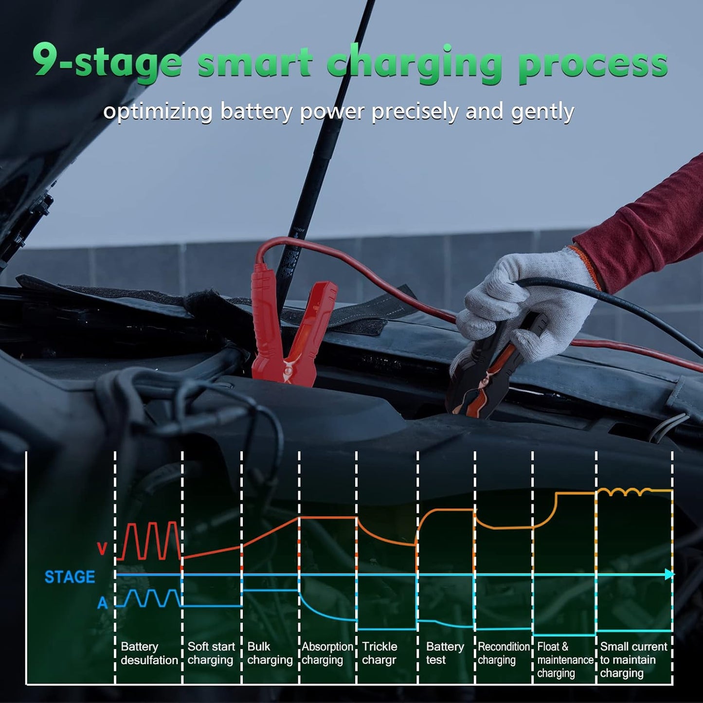 25 Amp Lithium Battery Charger, 12V and 24V Lifepo4,Lead-Acid(AGM/Gel/SLA..) Battery Charger,Battery Maintainer, Trickle Charger, and Battery Desulfator for Car,Boat,Motorcycle, Lawn Mower.