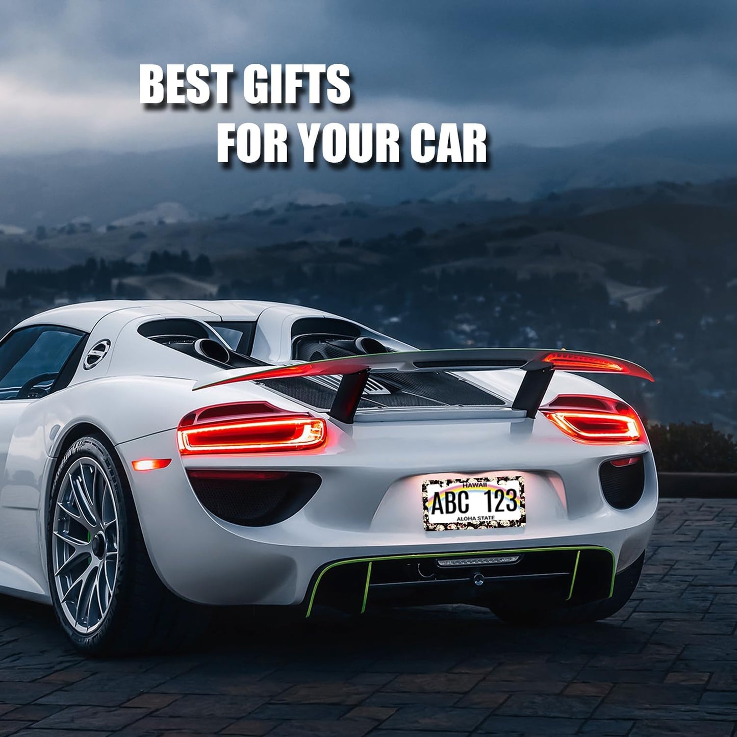 Skull License Plate Frame Skull Skeleton License Plate Holder Stainless Steel Funny Design Compatible with Standard License Plate for USA Canada 12.3" x 6.3" with 2 Screws