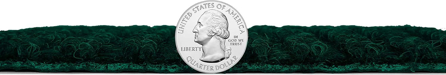 KOECKRITZ Heavy Duty Durable All Weather Indoor/Outdoor Non Slip Entrance Mat Rugs and Runners for Office Business Building Home Garage Front Door (5' x 20', Green)