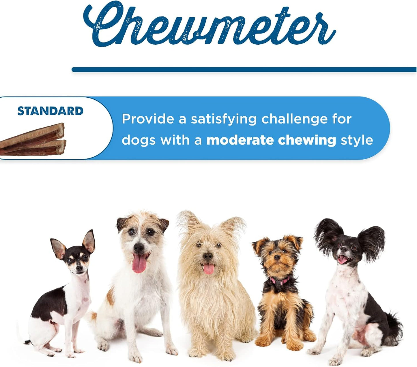 Best Bully Sticks 12 Inch Bully Sticks for Dogs - 10 Count (Pack of 1) - Natural, Easily Digestible, 100% Grass-Fed Beef, Grain and Rawhide Free