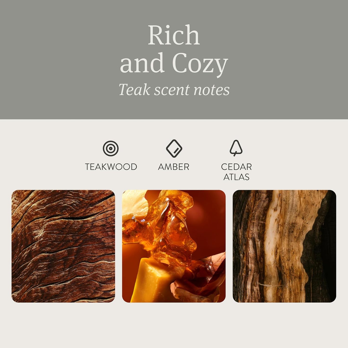 Drift Car Air Freshener - Stone Air Freshener - Car Odor Eliminator - Teak Scent Starter Kit