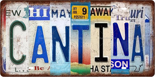 CANTINA Space Vintage Metal Tin Sign License Plate Bar Cafe Garage Cave Home Room Wall Bathroom Farmhouse Garden Porch Patio Decor, 12 x 6 Inch