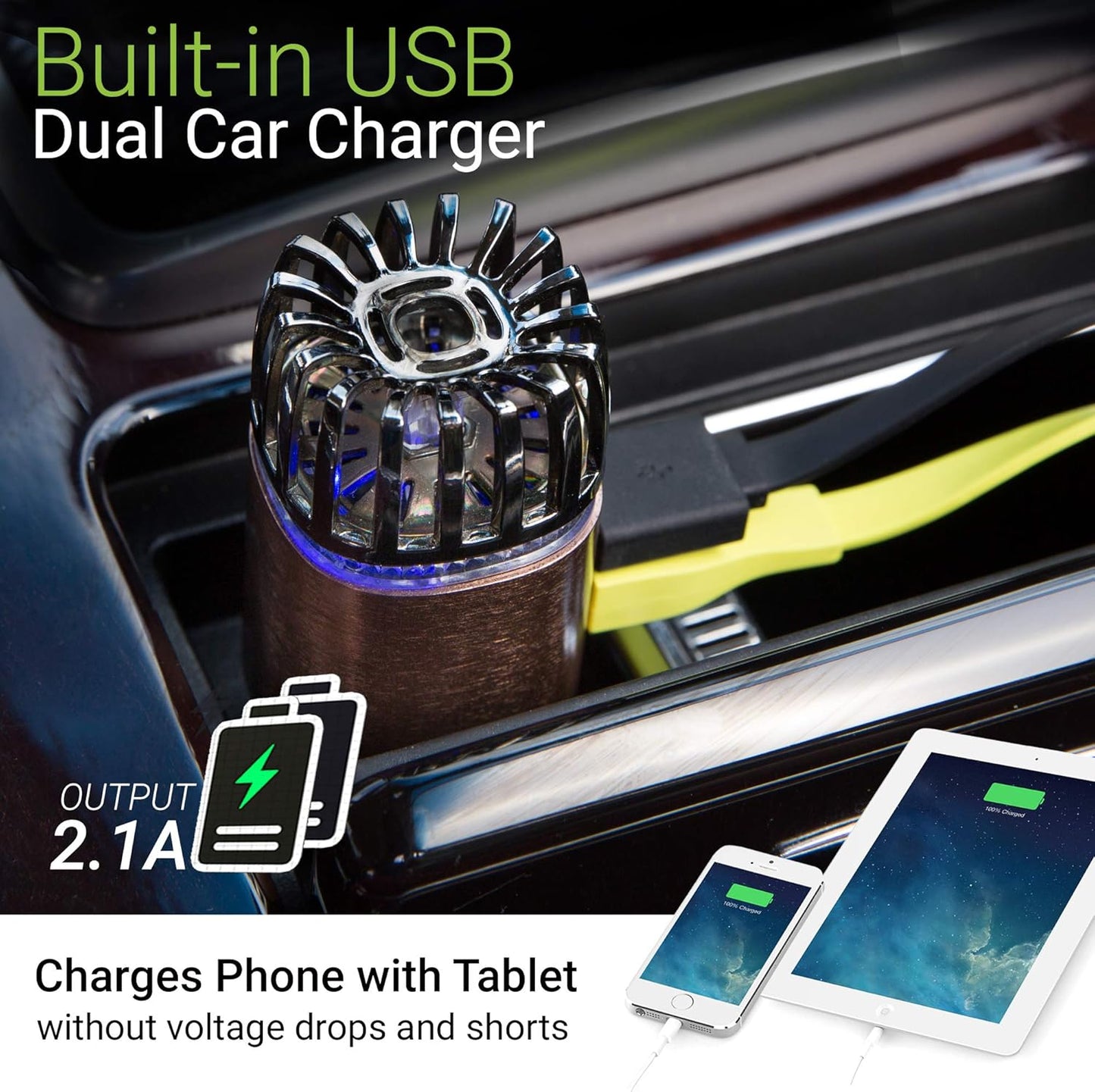 Car Air Purifier Ionizer - 12V Plug-in Ionic Anti-Microbial Car Deodorizer with Dual USB Charger - Smoke Smell, Pet and Food Odors, Allergens, Viruses Eliminator for Car (Matte Copper)