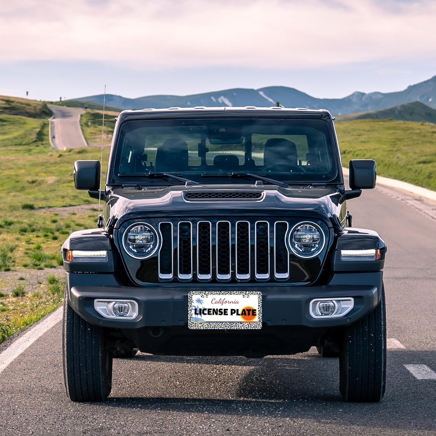 Leopard Print License Plate Frame Skin Texture Pattern Stainless Steel License Plate Holder for Front or Rear Car Tags Funny for Car Decoration Accessories with Screws 6.3 X 12.2 in for Women Men