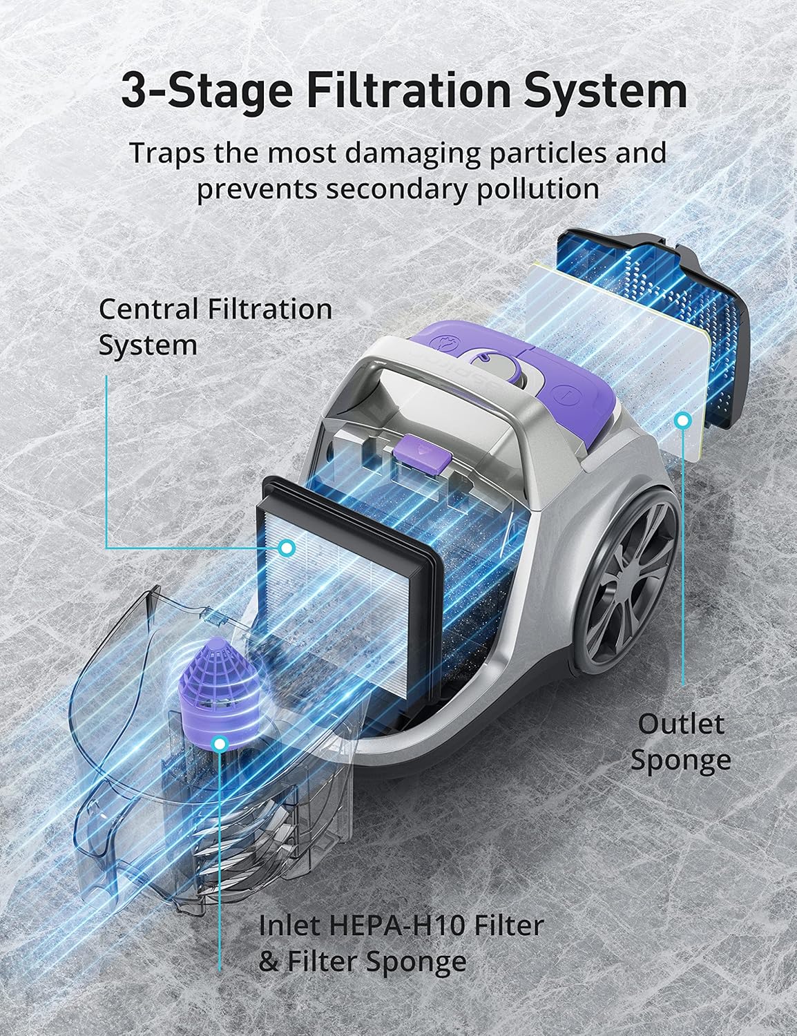 Aspiron Canister Vacuum, Upgraded 1600W Bagless Canister Vacuum Cleaner, Auto Cord Rewind, H13 HEPA Filter, 3.7Qt Large Capacity, 5 Tools for Hard Floors, Carpet, Pet, Upholstery, Tiles, Car, Violet